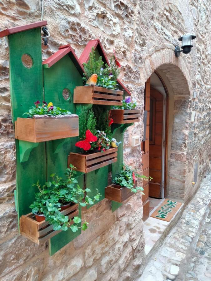 Dimora San Severino Spello Εξωτερικό φωτογραφία